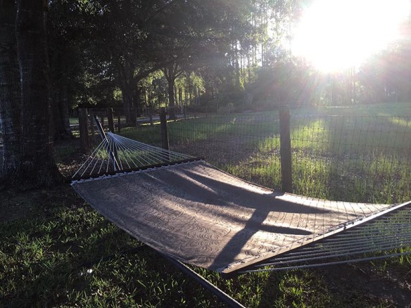 hammock